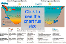 Click to see the full size chart